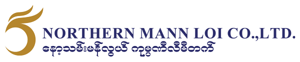 Northern Mann Loi Co., Ltd.